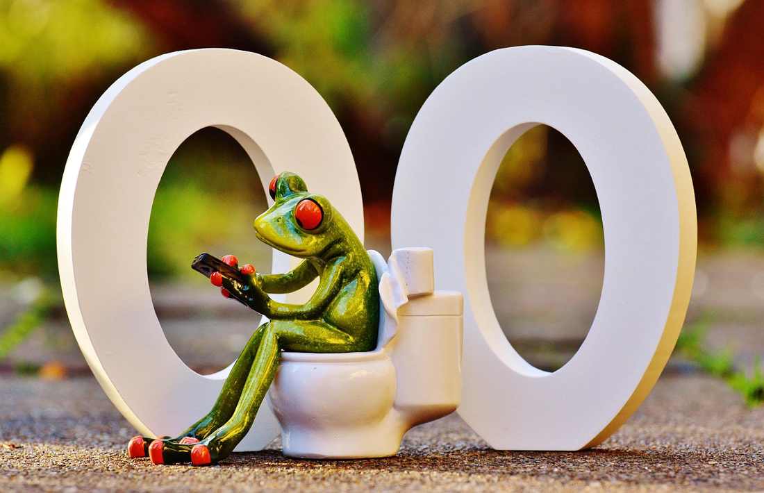 10 Flores Mais Procuradas do Momento